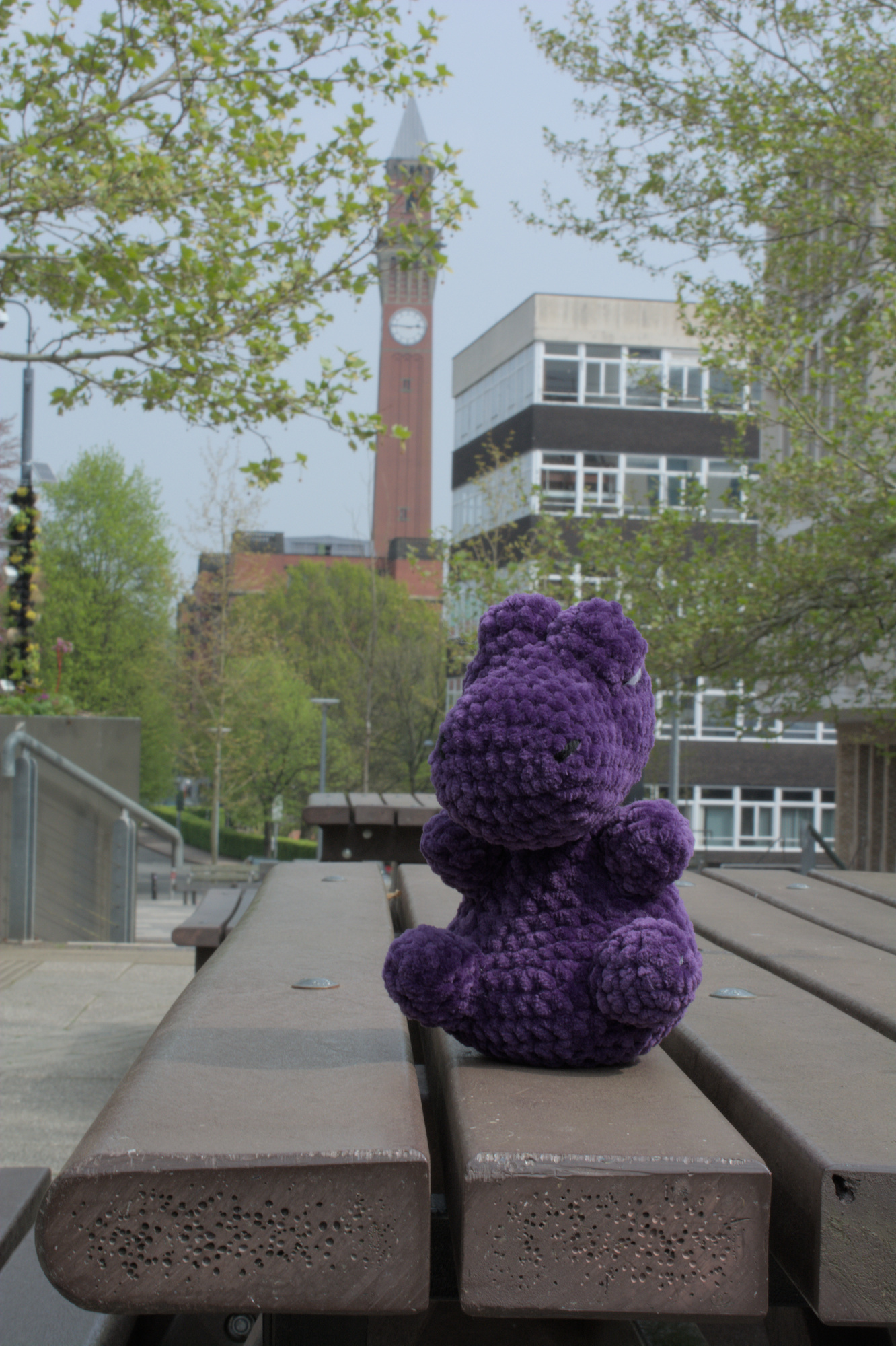 TeX with Old Joe in the background