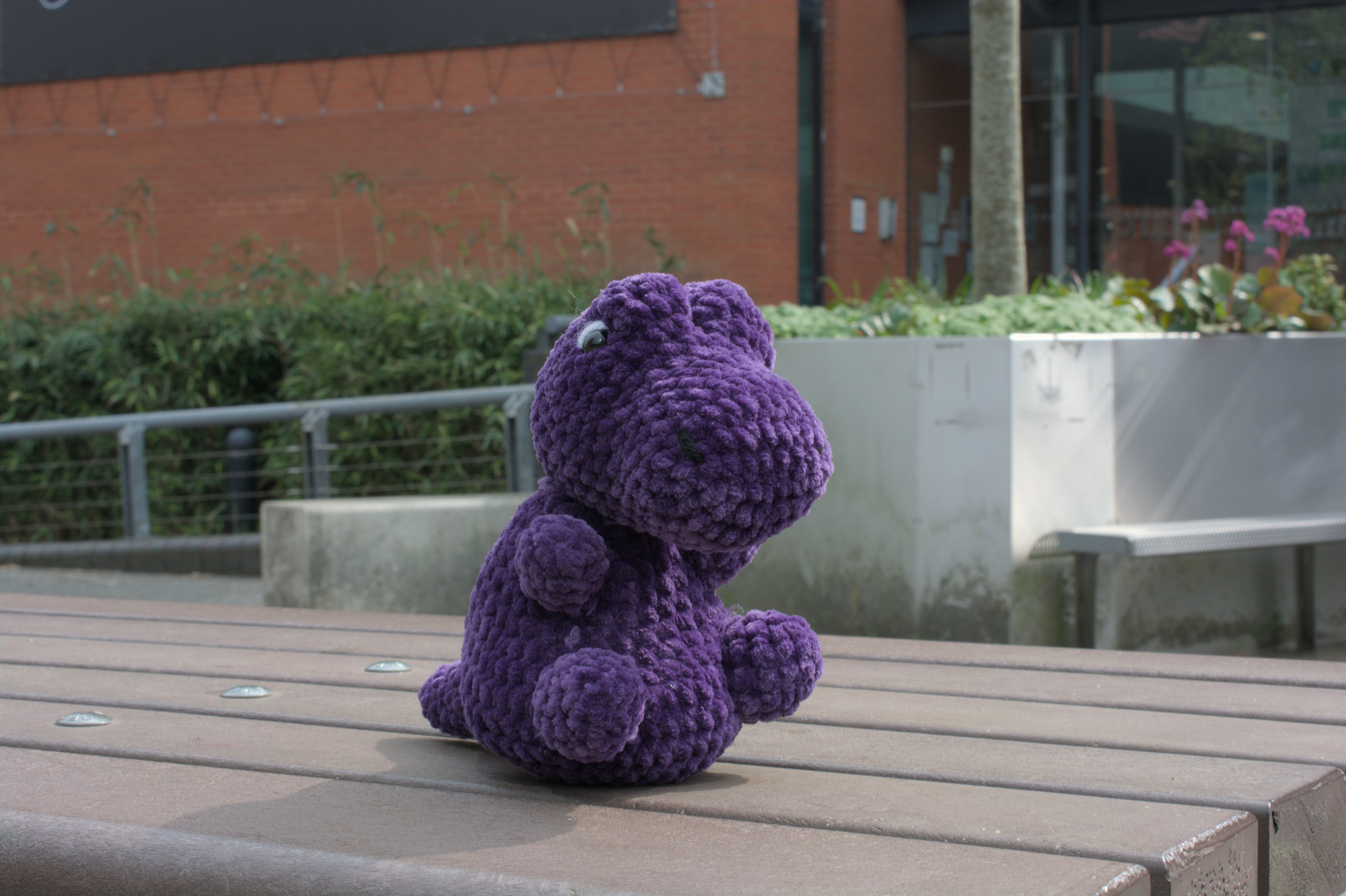 TeX sitting on a bench outside the CS building